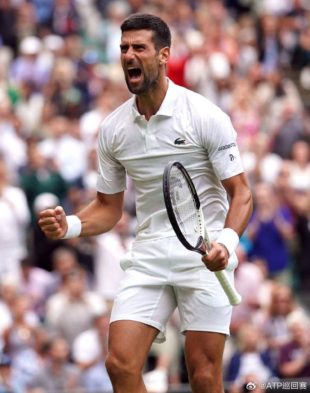 和道德的框 和道德的框