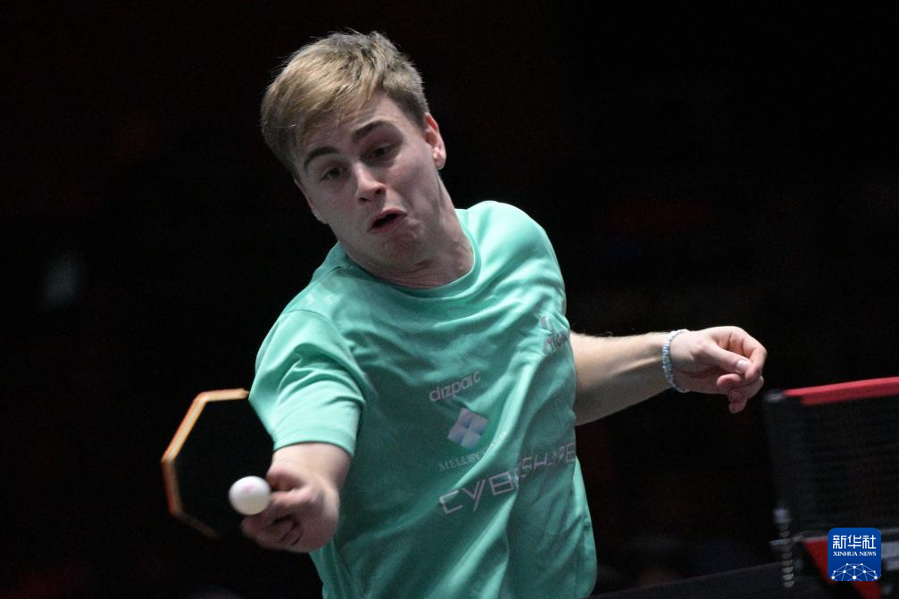 了鲜活的案 了鲜活的案