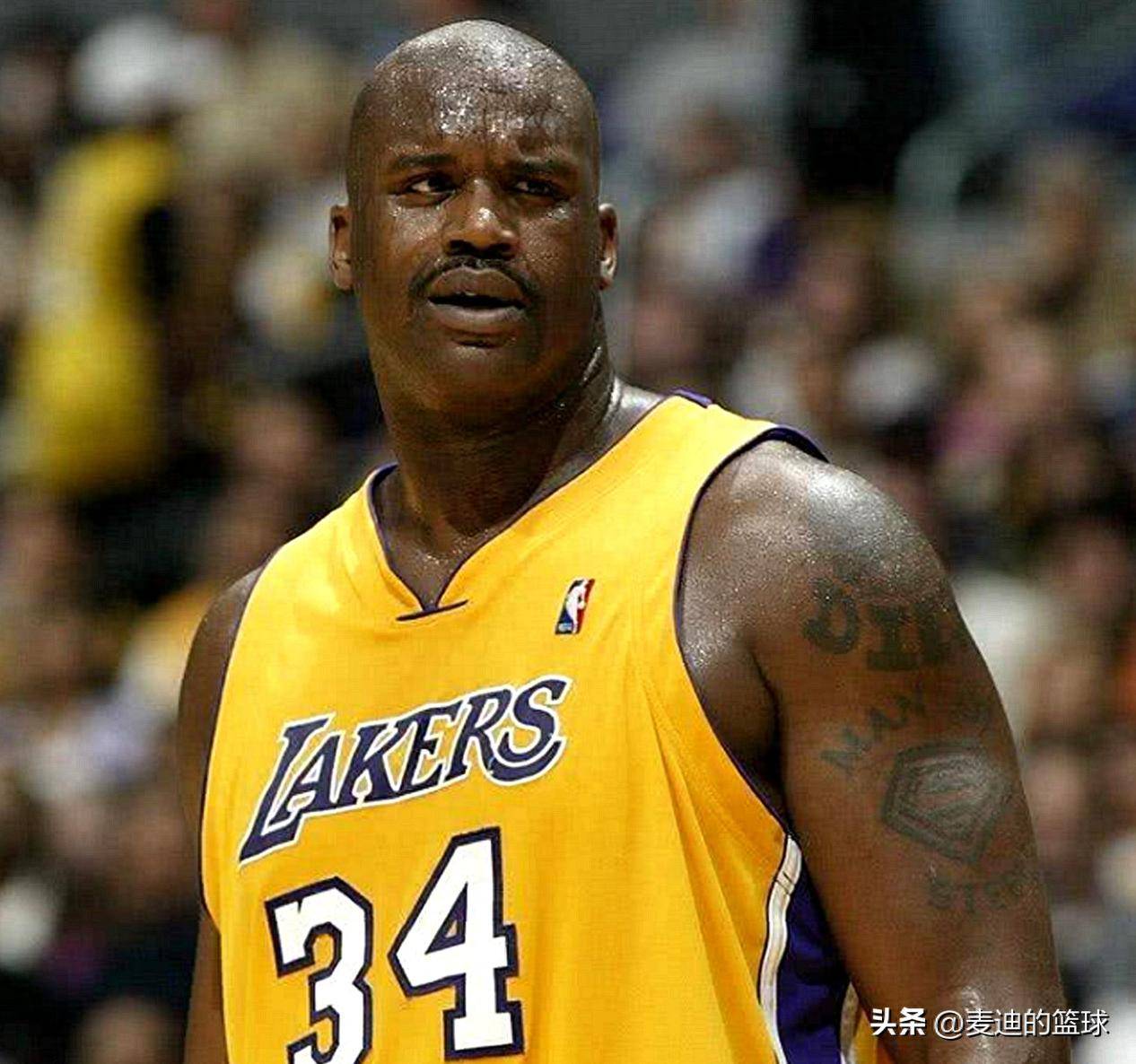 古龙与大龙 古龙与大龙